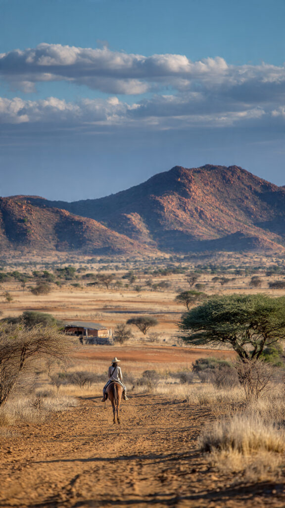 Karoo, drought, pastoral communities, livestock, rangeland, migration, internal migration, rural-urban migration, Northern Cape, Western Cape, Eastern Cape, South Africa, migration health, drought response, livelihood adaptation, pastoralist relocation, climate stress, destocking, transhumance, circular migration, youth migration, gendered mobility, health access, social protection, informal settlements, mobile clinics, rural development, policy gaps, livelihood diversification, migration policy, drought monitoring, food security, water scarcity, mental health, zoonotic risk, municipal planning, skills training, non-livestock income, remittances, early warning systems, drought-induced migration